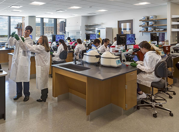 Students in a lab.